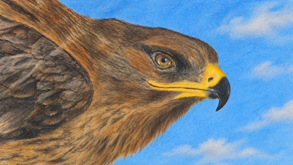 Original Eagle artwork: a brown eagle with a yellow beak against a blue sky