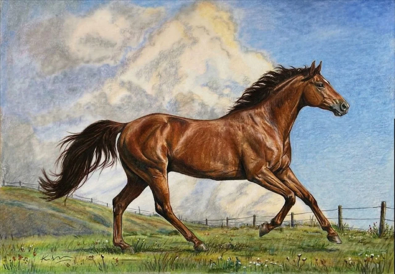 A brown horse running across a grassy field beneath a blue sky with pale clouds.